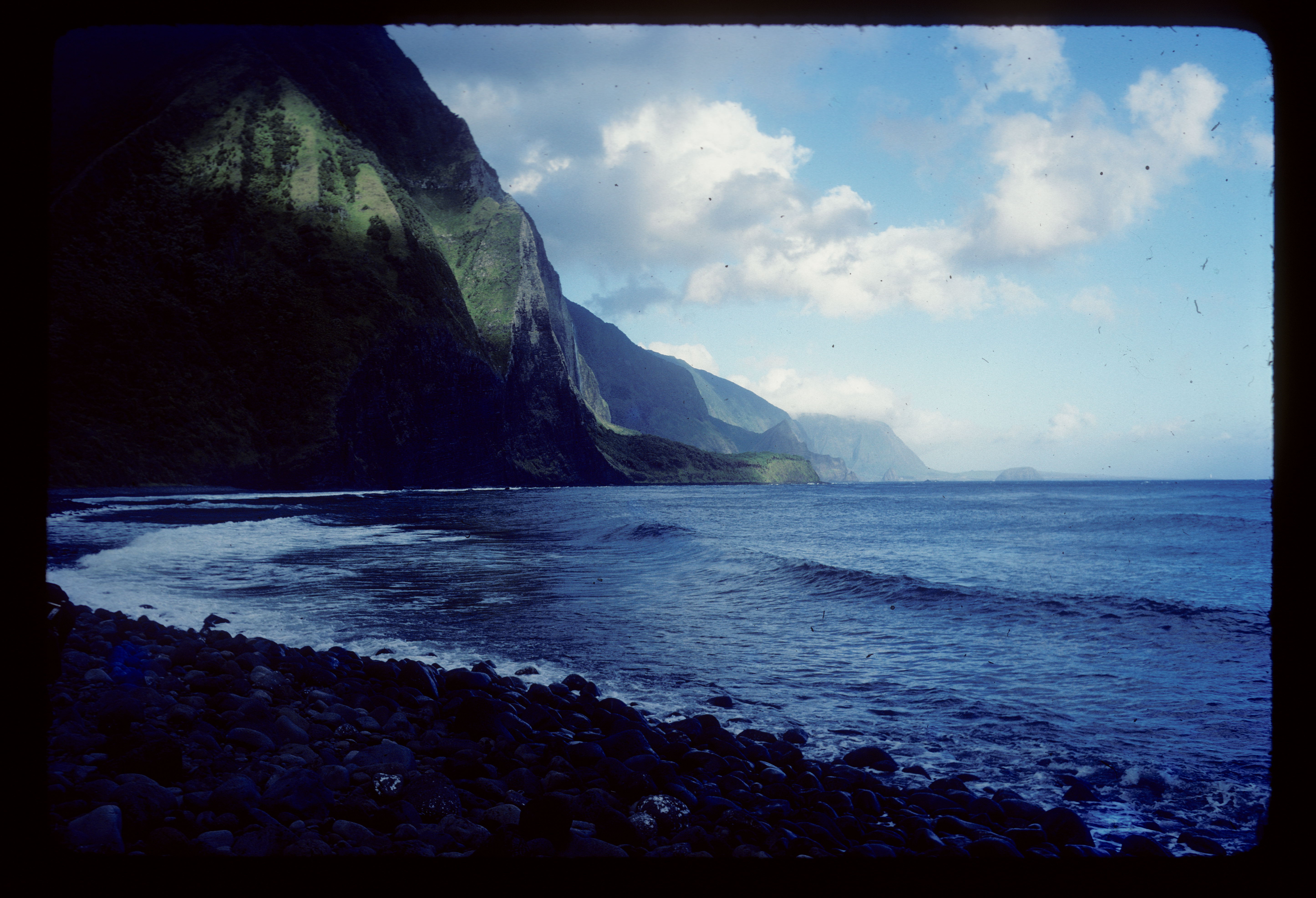 Sea Cliffs